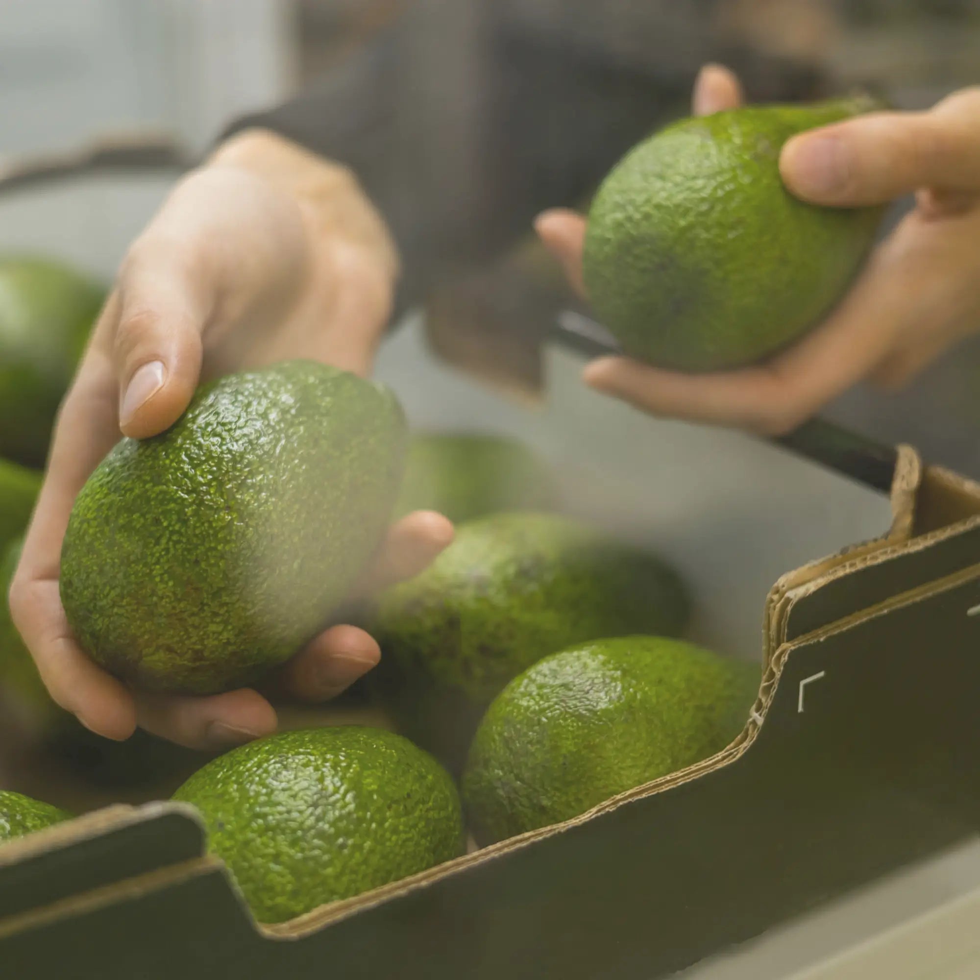 Analog and digital durometers for produce testing