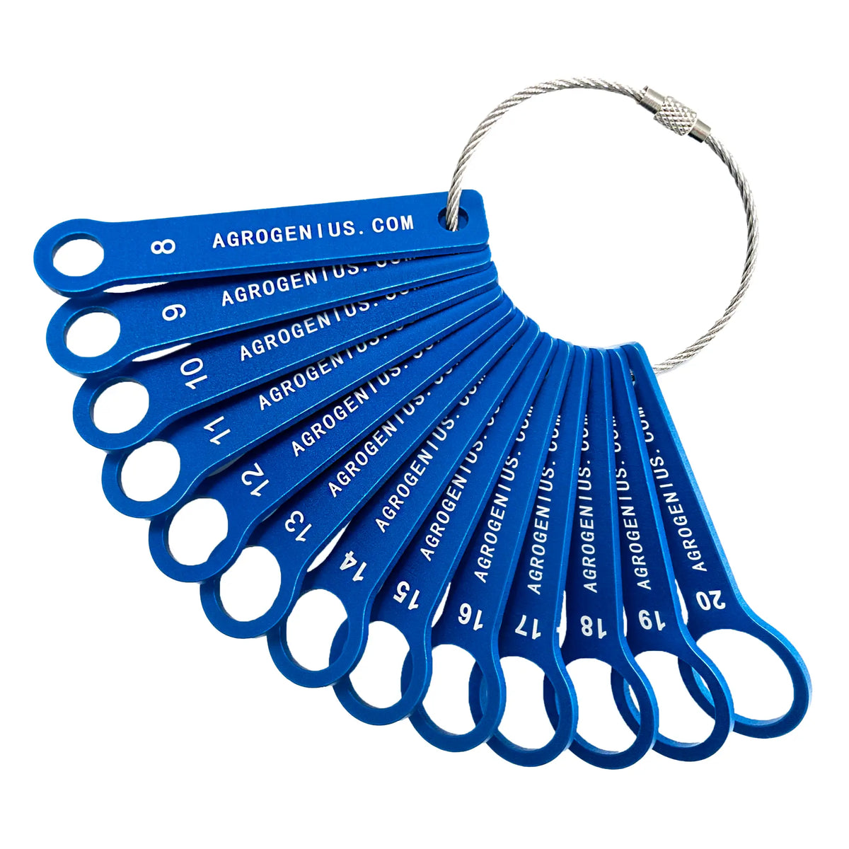 Blueberry Sizing Rings Set