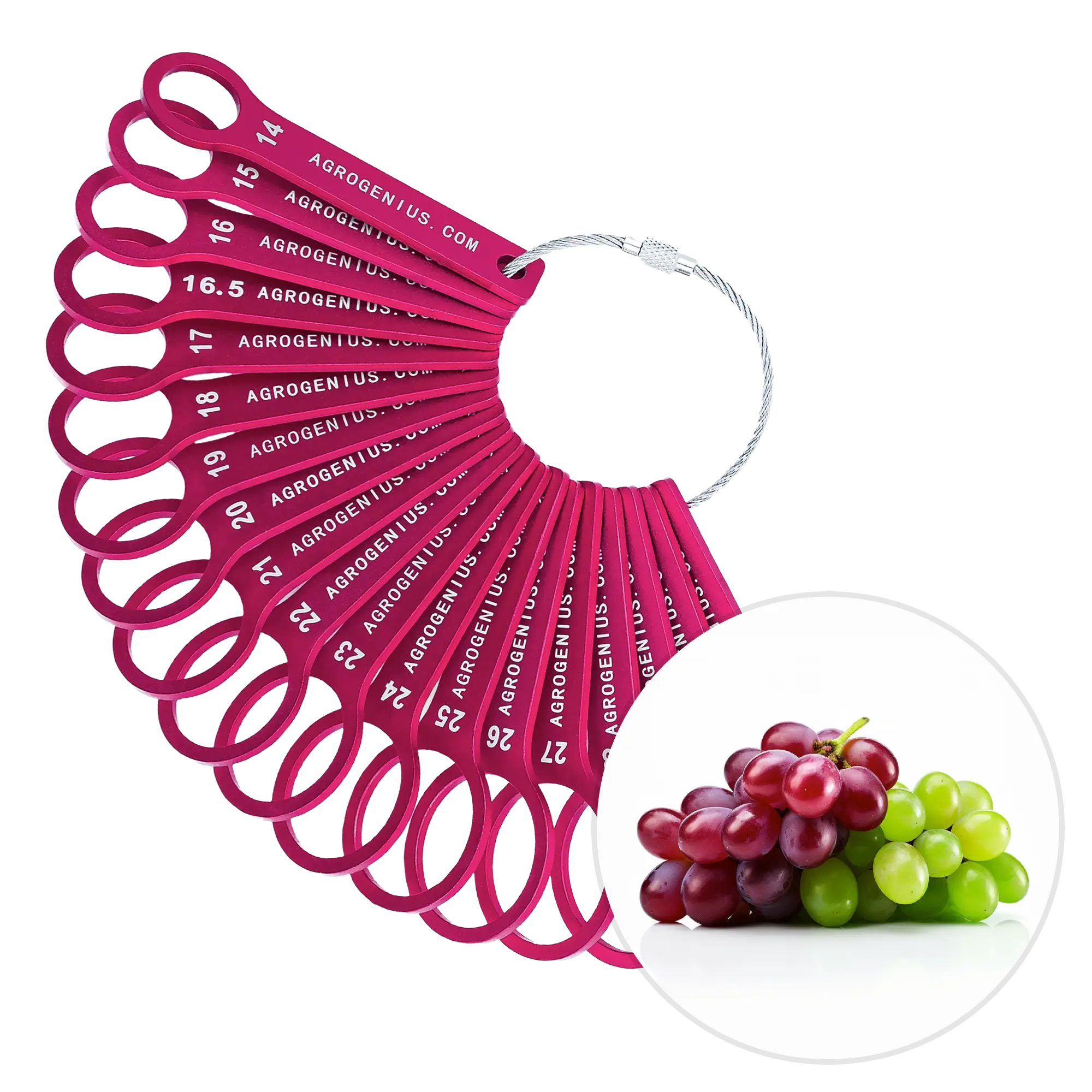 Grape Sizing Rings