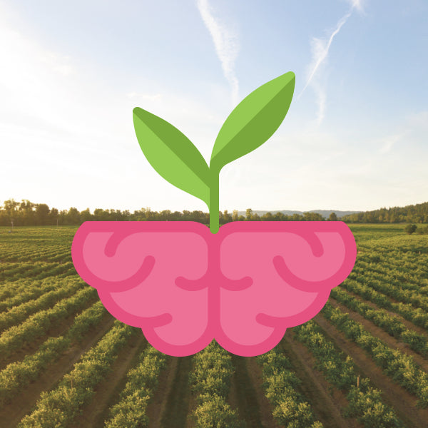 AgroGenius