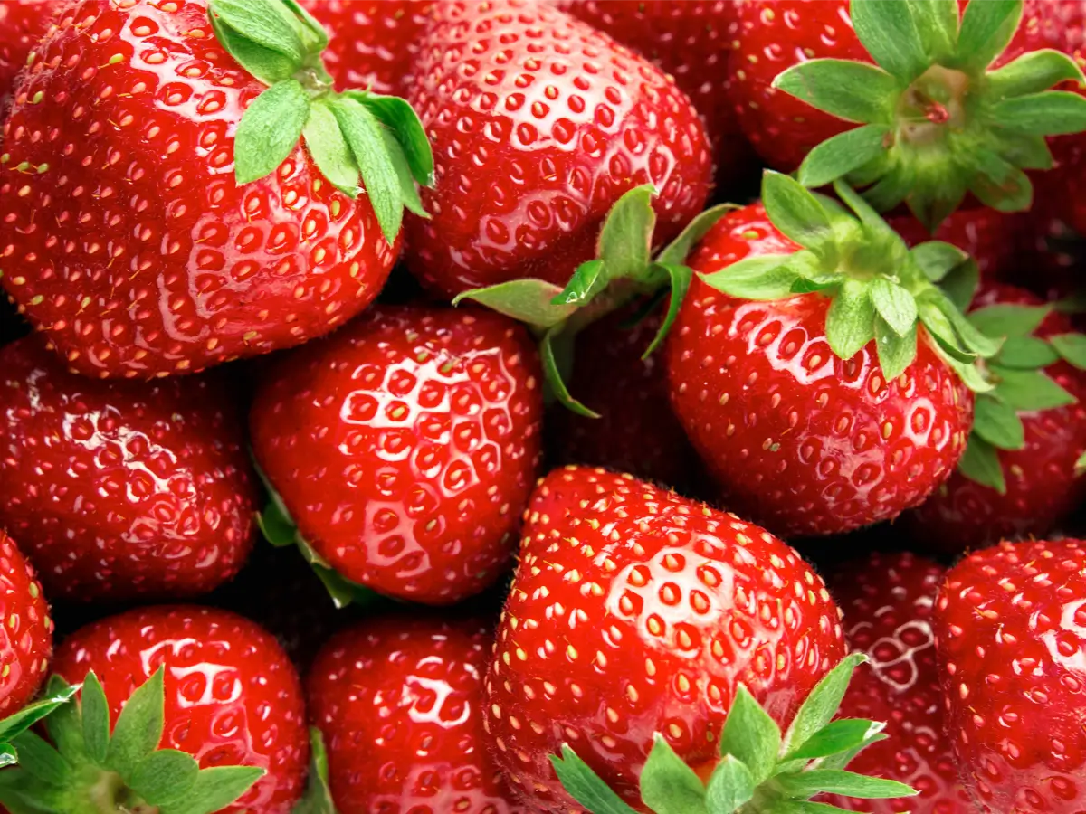 Strawberry Supply Instability Calls for Advanced Quality Control Measures