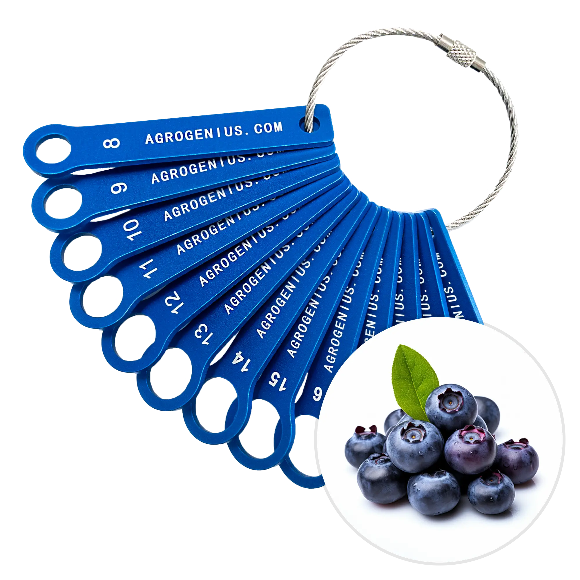 Blueberry Sizing Rings