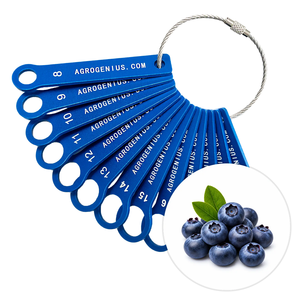 Berry Size Chart Blueberry Sizing Rings Set – AgroGenius