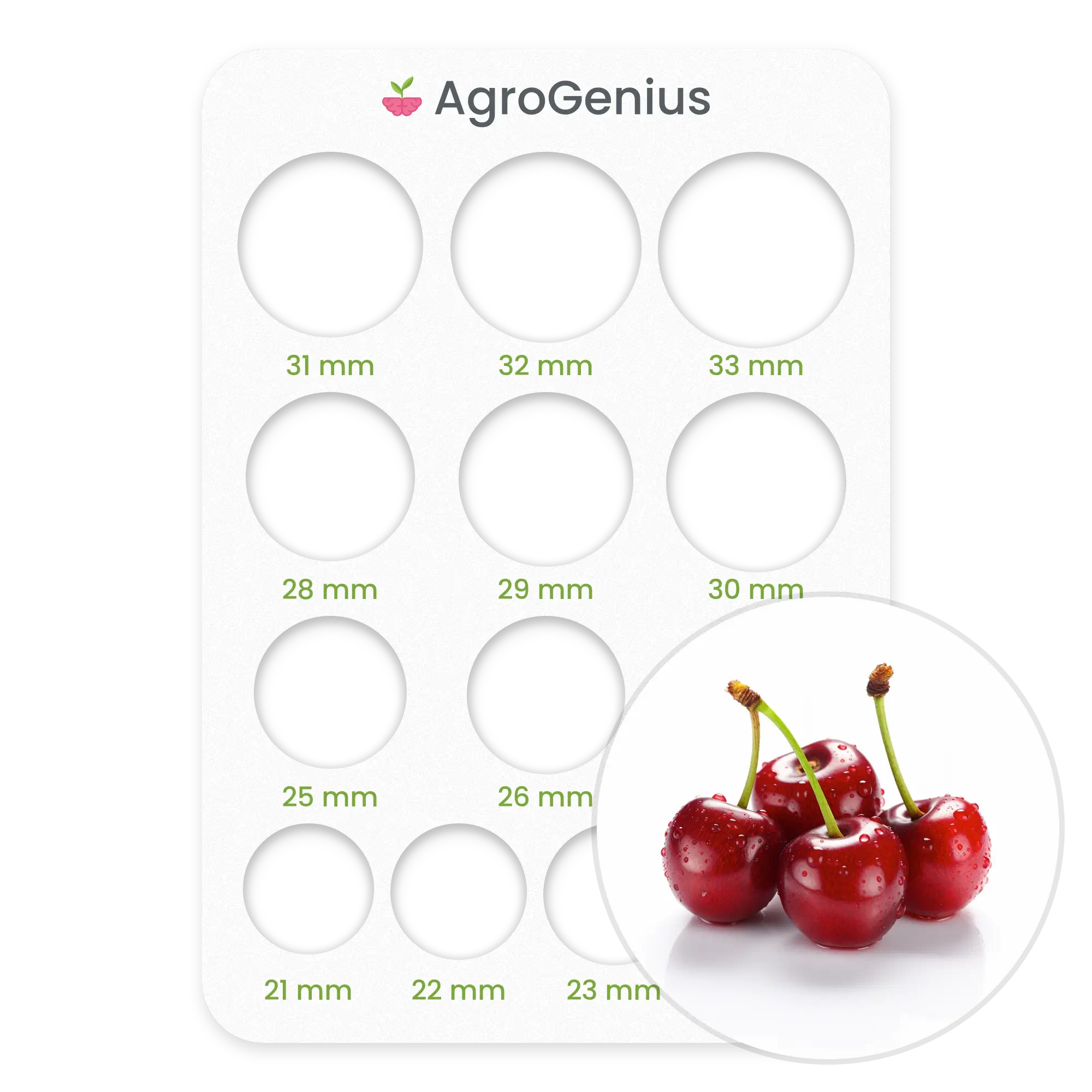 Cherry Sizing Card