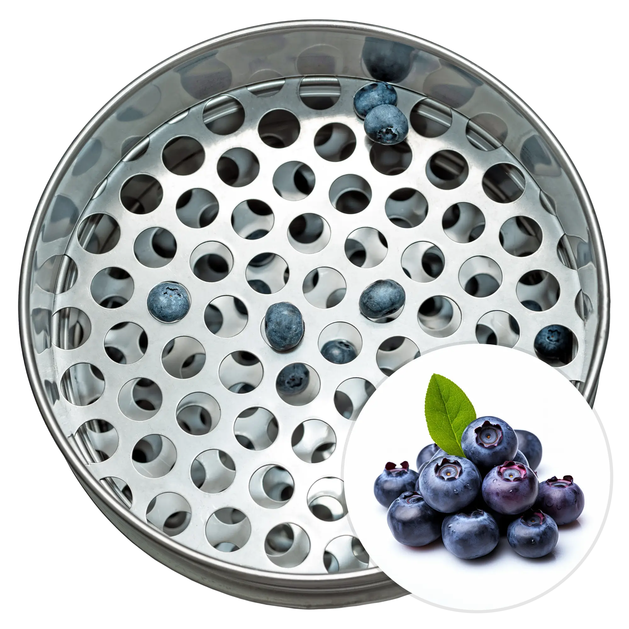 Blueberry Size Sorting Trays